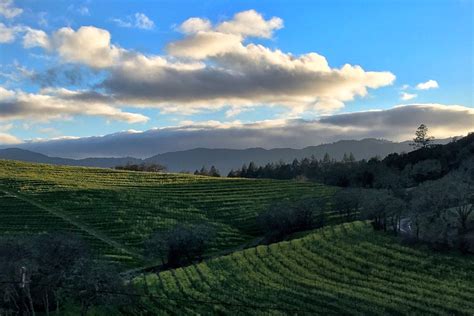 magnum tours napa valley.